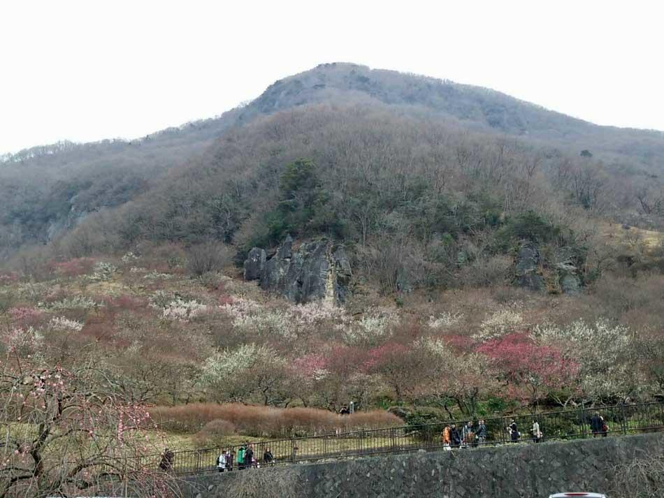 Yugawara Onsen Ryokan Uohan Kamer foto